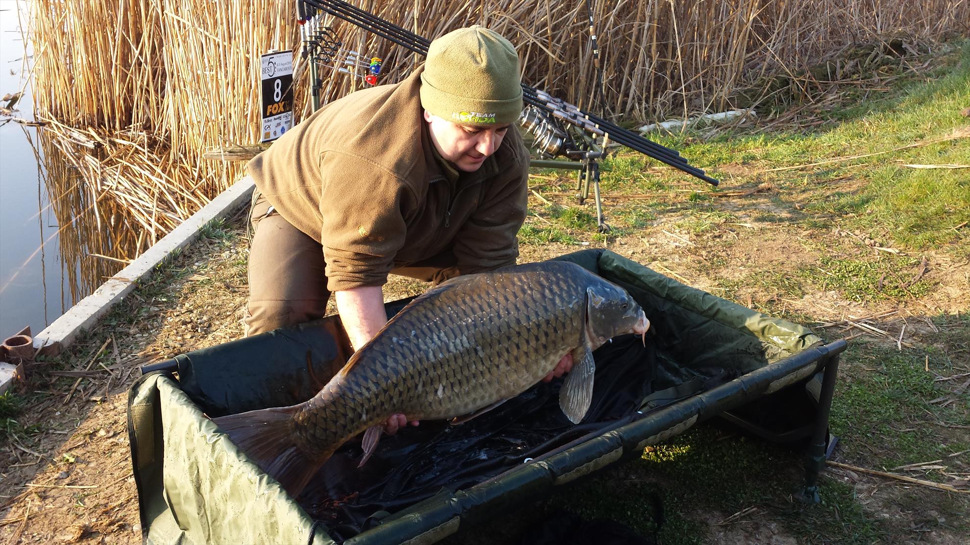 Tancabesti 14 - 16 mar. - 2014-03-15-0801141.jpg